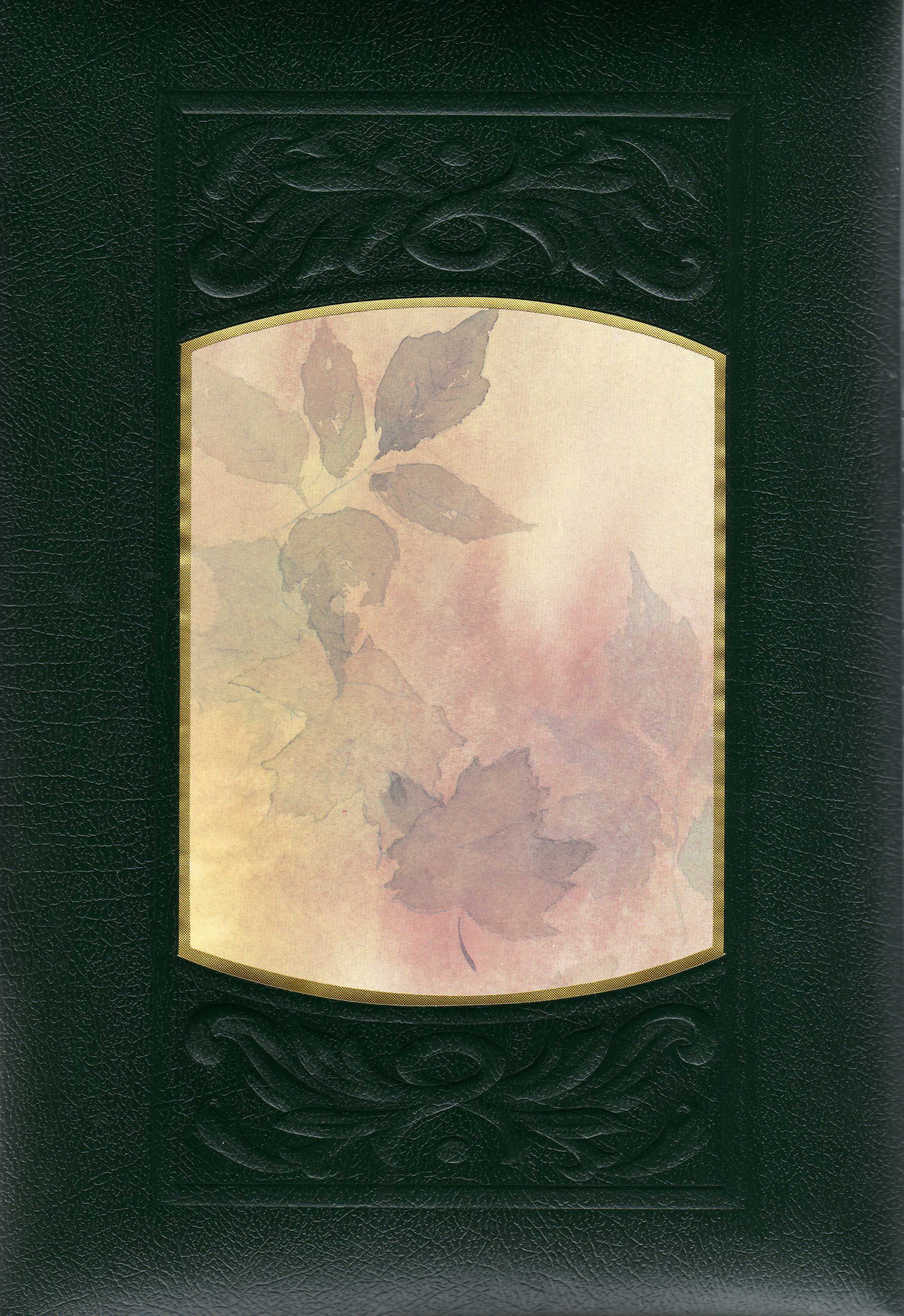 Image 17